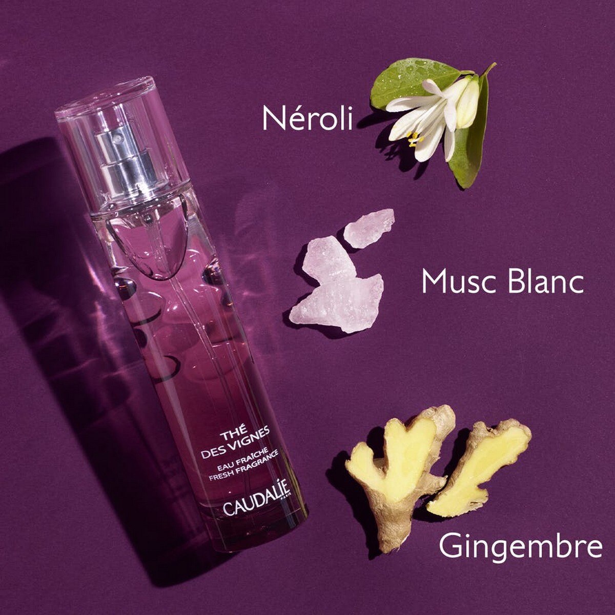 Água Fresca Thé des Vignes - 100 ml 3