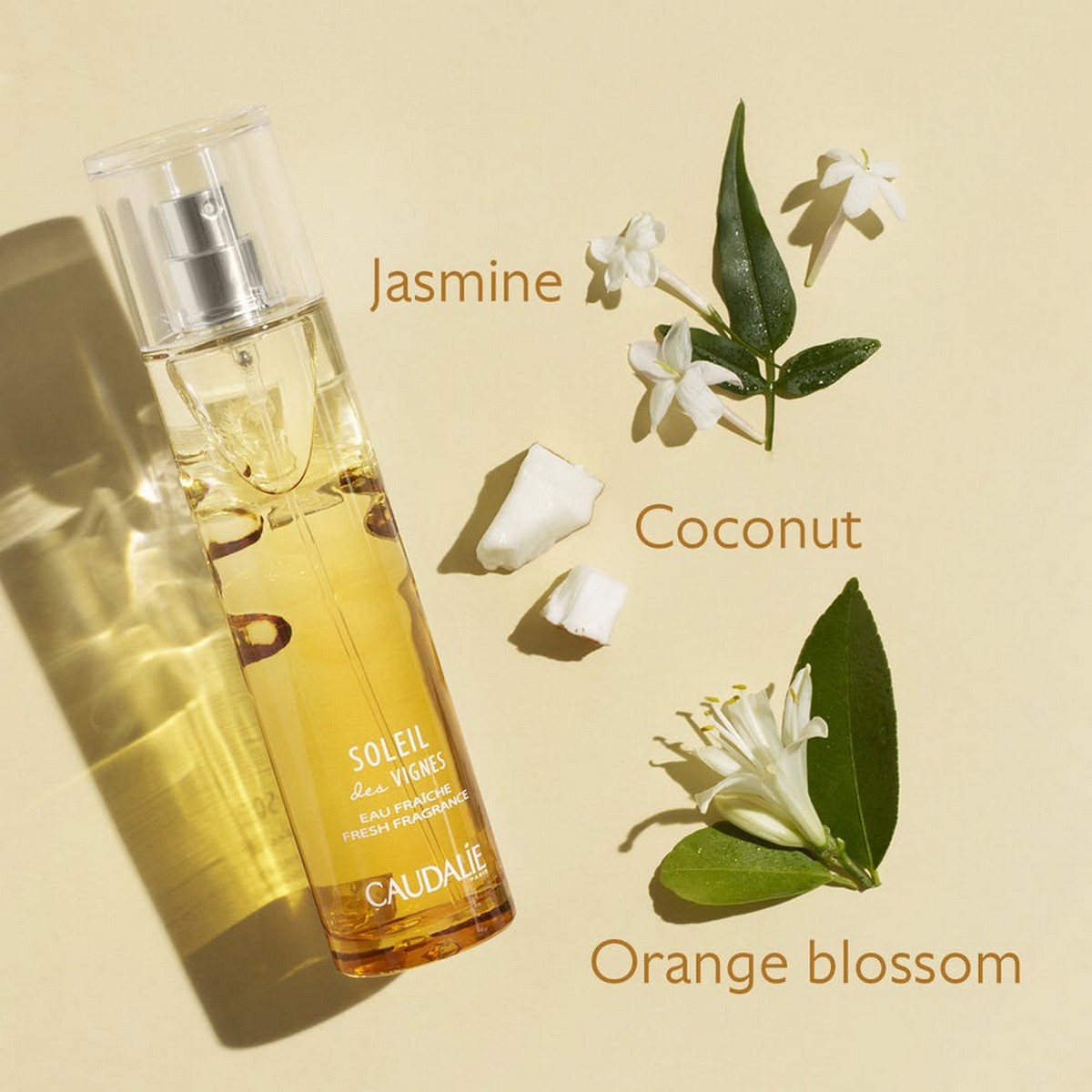 Água Fresca Soleil des Vignes - 50 ml 3