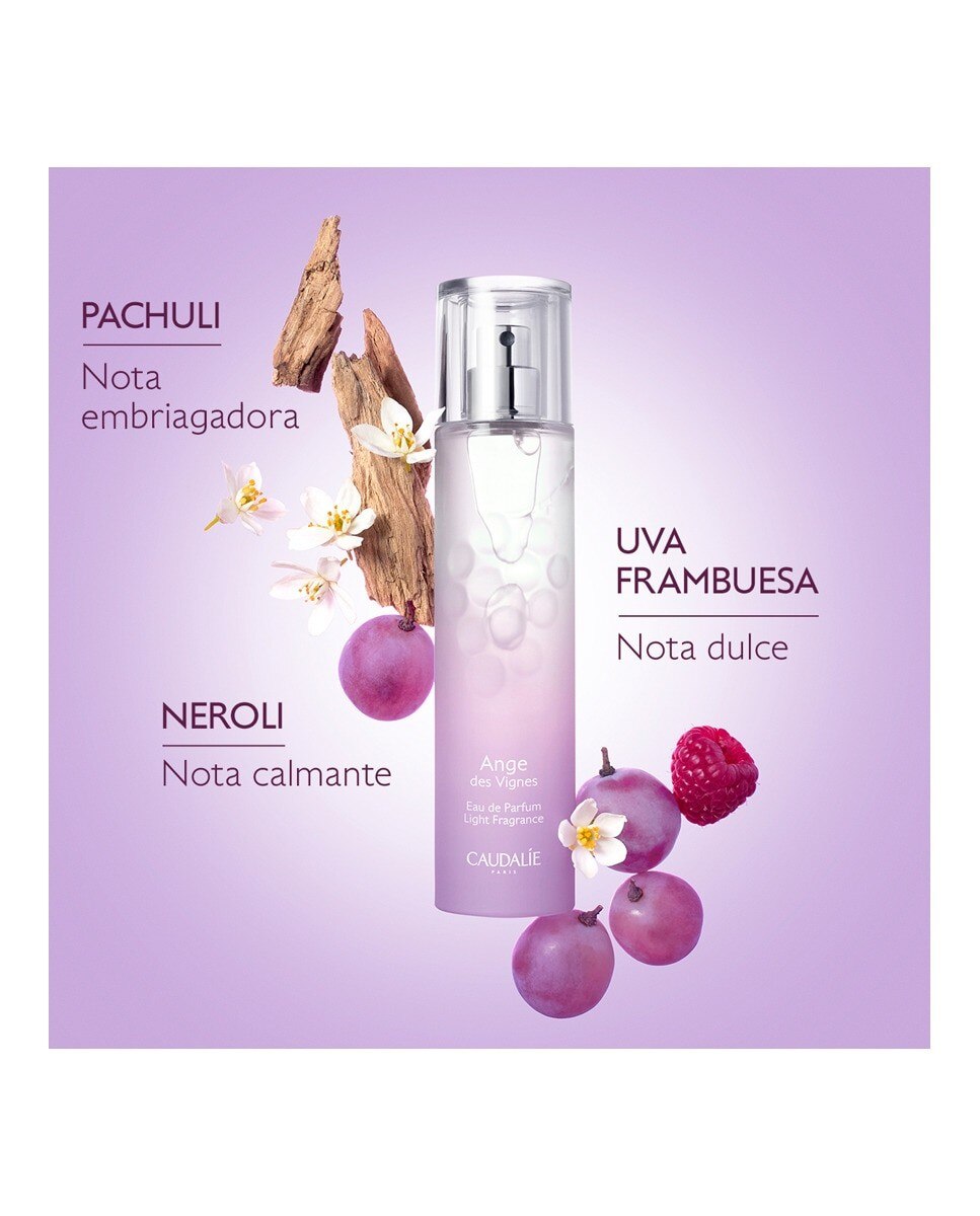 Ange des Vignes Eau de Parfum - 50 ml 3