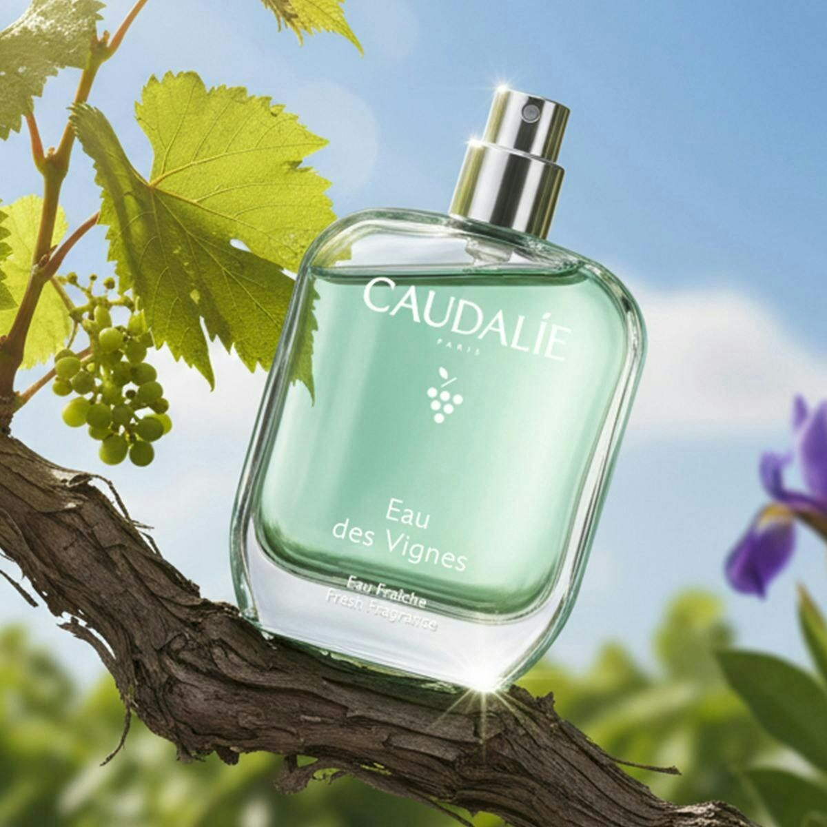 Eau des Vignes Eau Fraîche 2