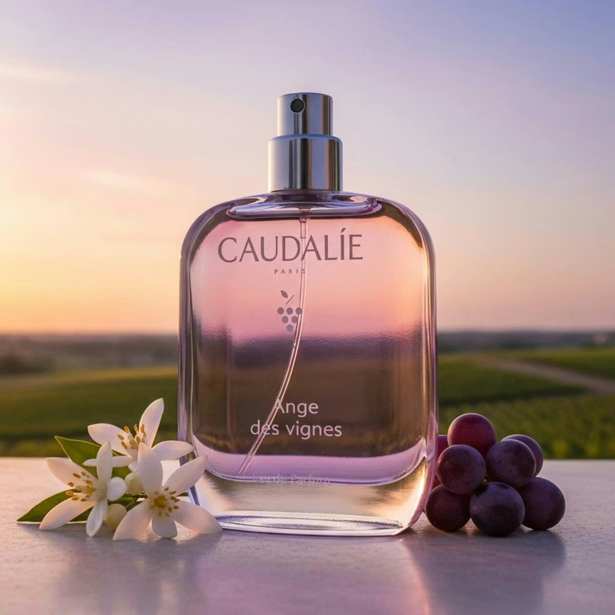 Agua Fresca Ange des Vignes 2