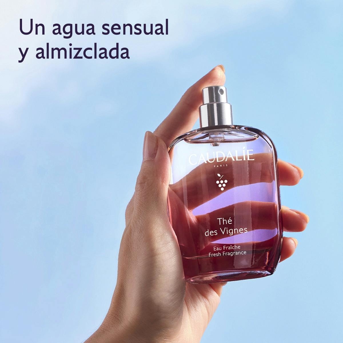 Água Fresca Thé des Vignes 3
