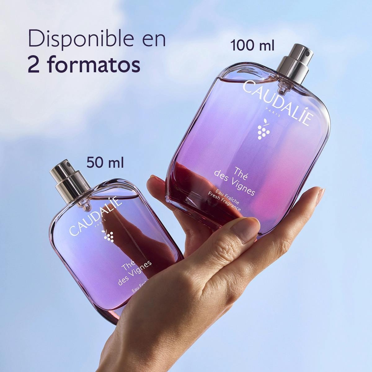 Água Fresca Thé des Vignes 5