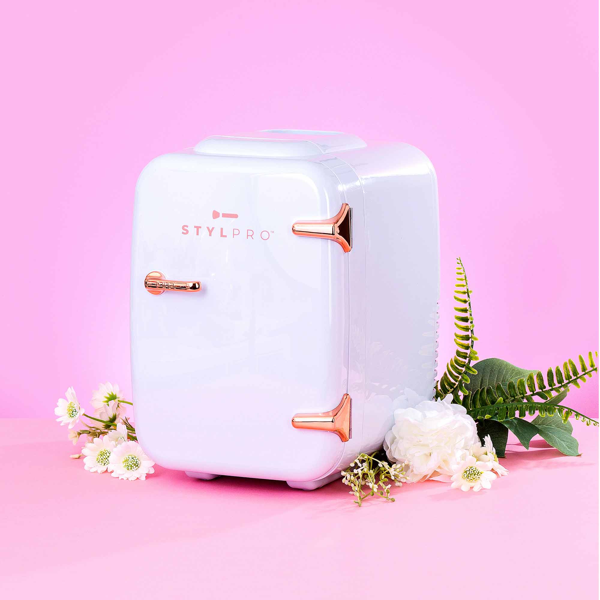 Frigorífico Beauty Fridge 4