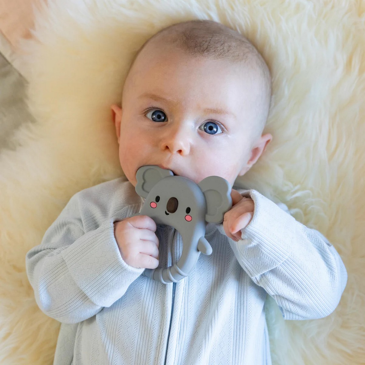 Mordedor de silicone - Koala 2