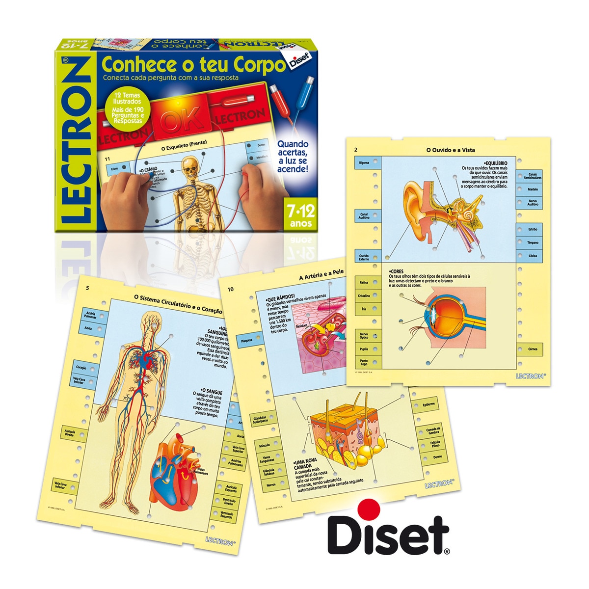 Jogo Lectron O Corpo Humano Diset 1