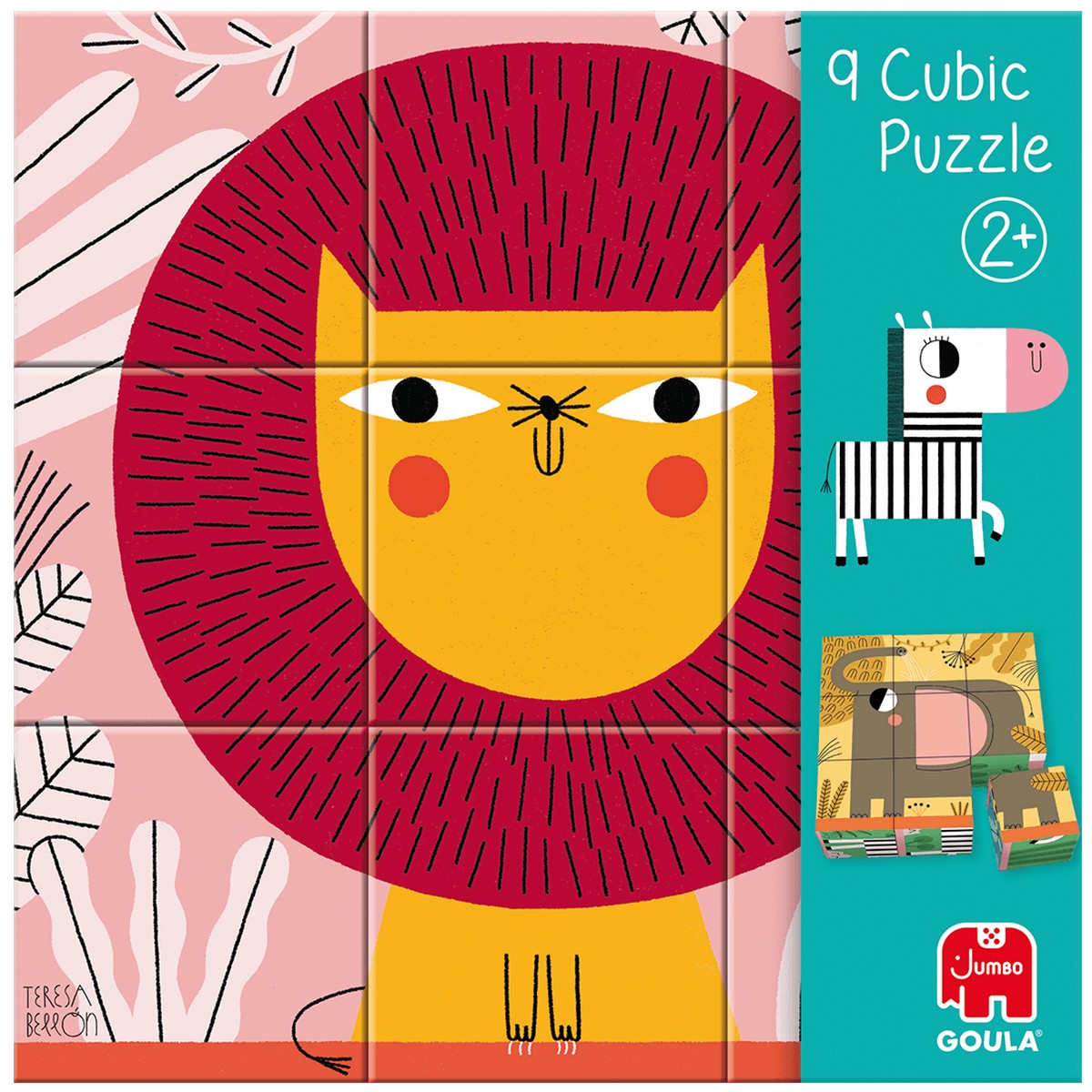 9 Cubic Puzzle 6