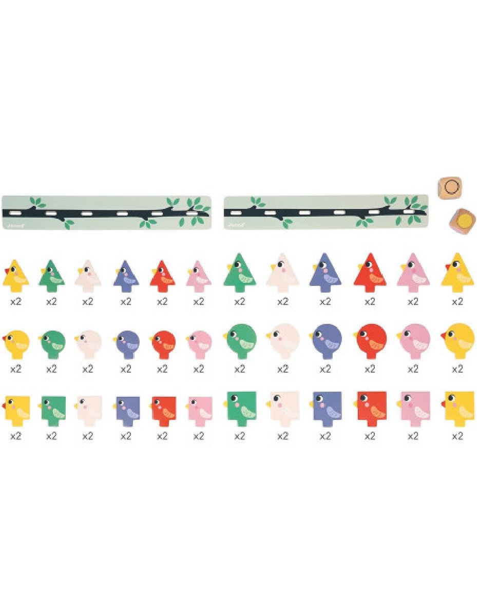 Birds - Formas,Tamanhos e Cores 3