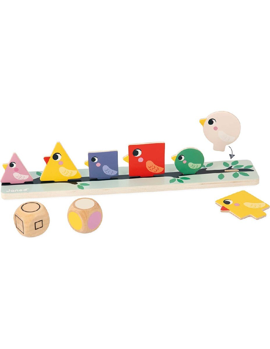 Birds - Formas,Tamanhos e Cores 5