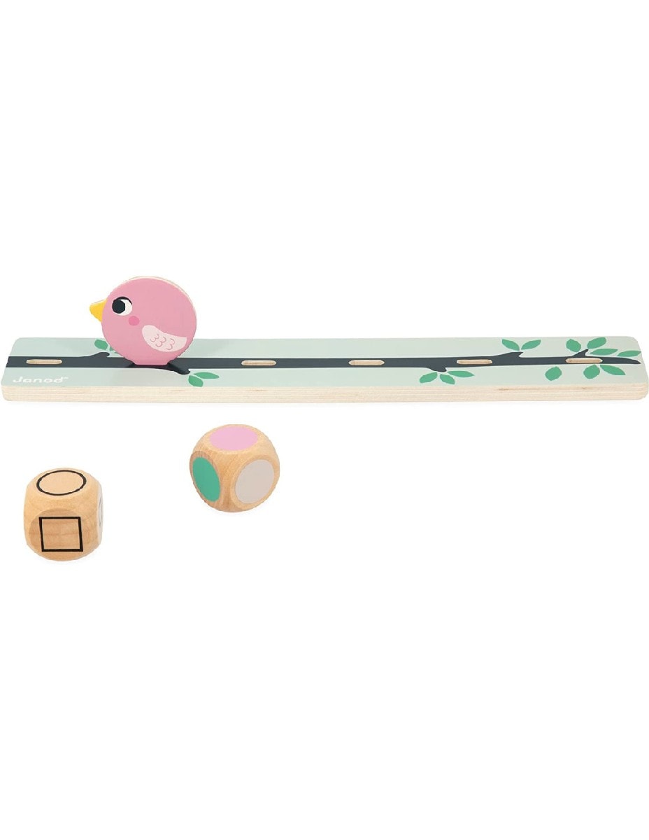 Birds - Formas,Tamanhos e Cores 6