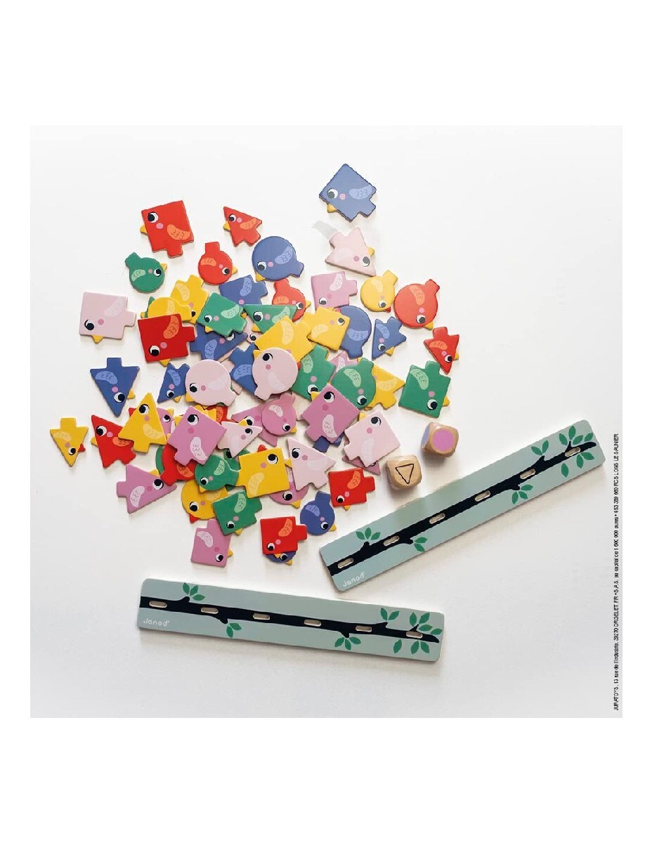 Birds - Formas,Tamanhos e Cores 7