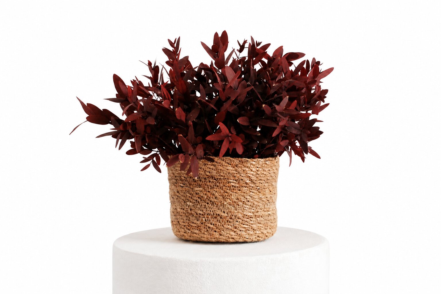 Imagem 0 de Centro Decorativo de Flores Preservadas Corniglia com Eucalipto Parvifolia Granate