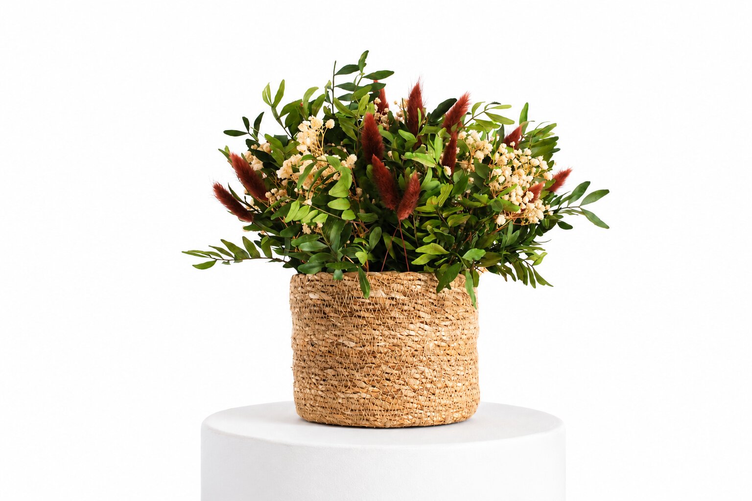Imagem 0 de Centro de Flores Preservadas Agropoli com Lentisco Paniculata e Lagurus