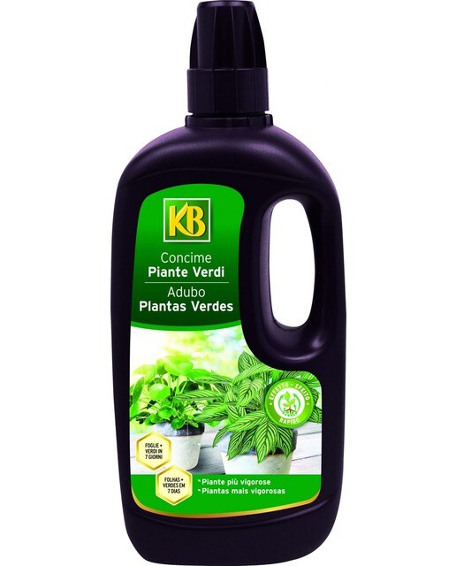 Adubo Líquido Plantas Verdes 1