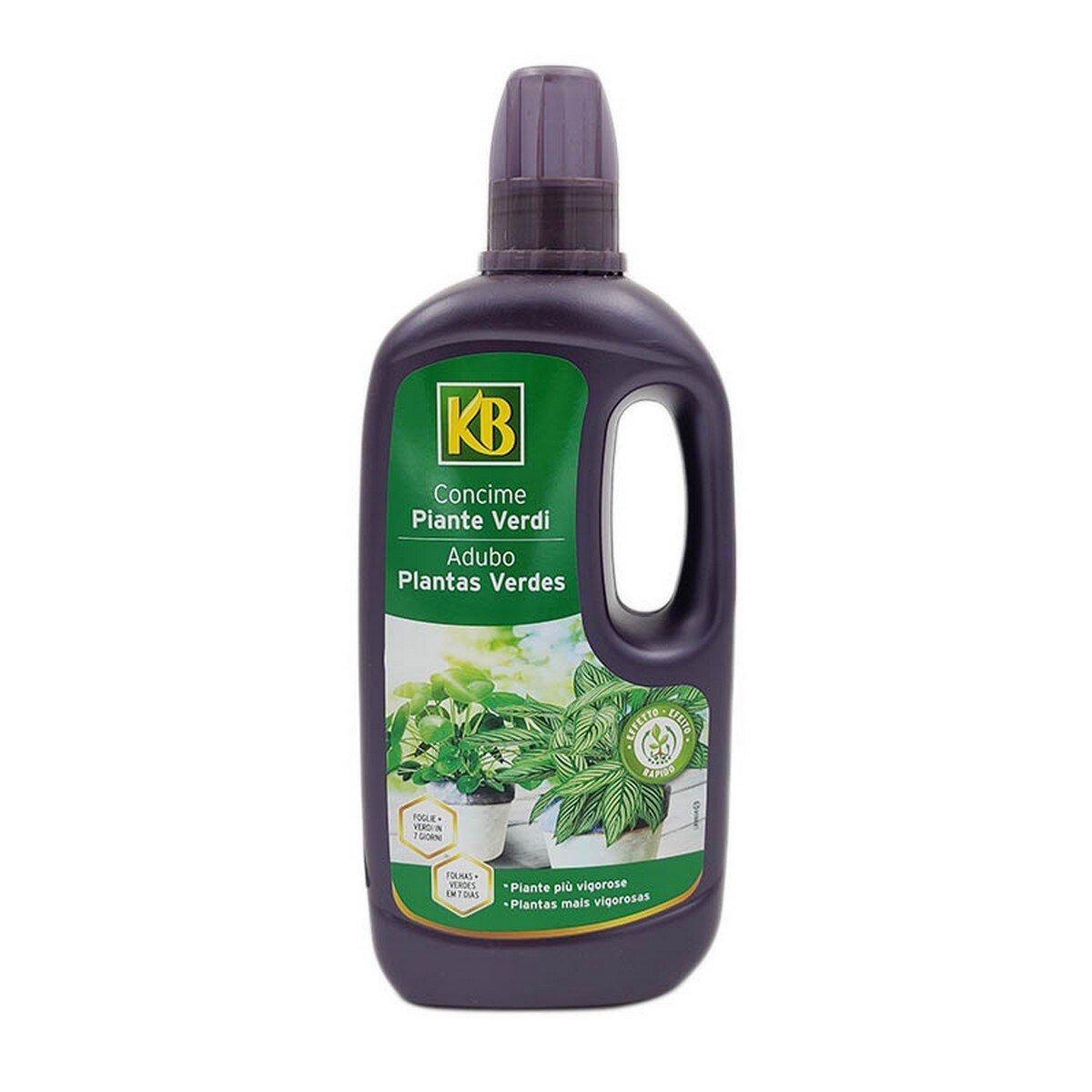 Adubo Líquido Plantas Verdes 2