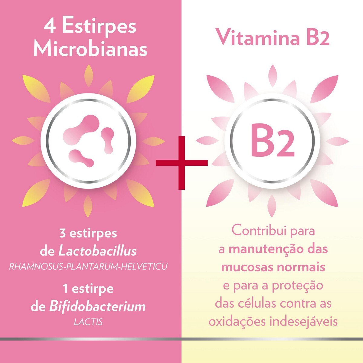 Suplemento Alimentar GineCanesflor+ - 30 Cápsulas 2