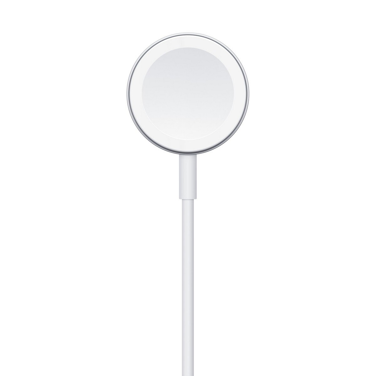 Cabo de Carregamento Apple MW6A3ZM/A Magnético para Apple Watch de 1m Branco-2