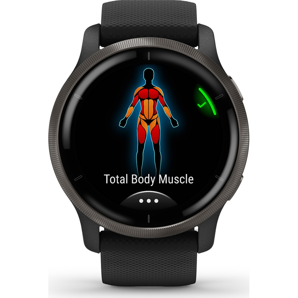 Smartwatch Garmin Venu 2 - Preto Preto-3