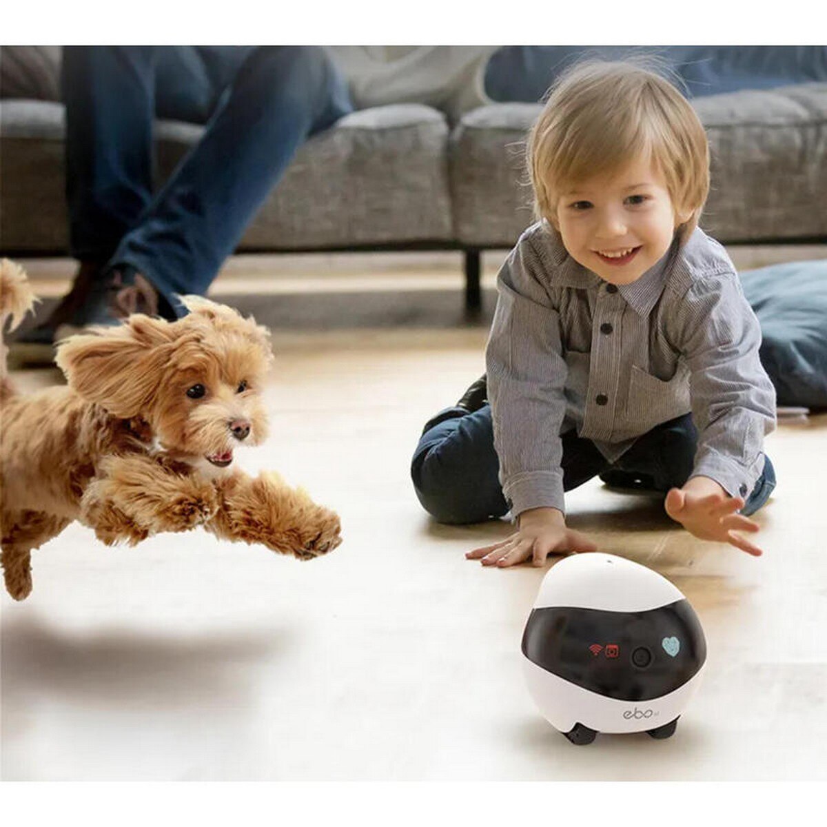 Robot de Companhia Enabot EBO SE 32GB - Branco 7