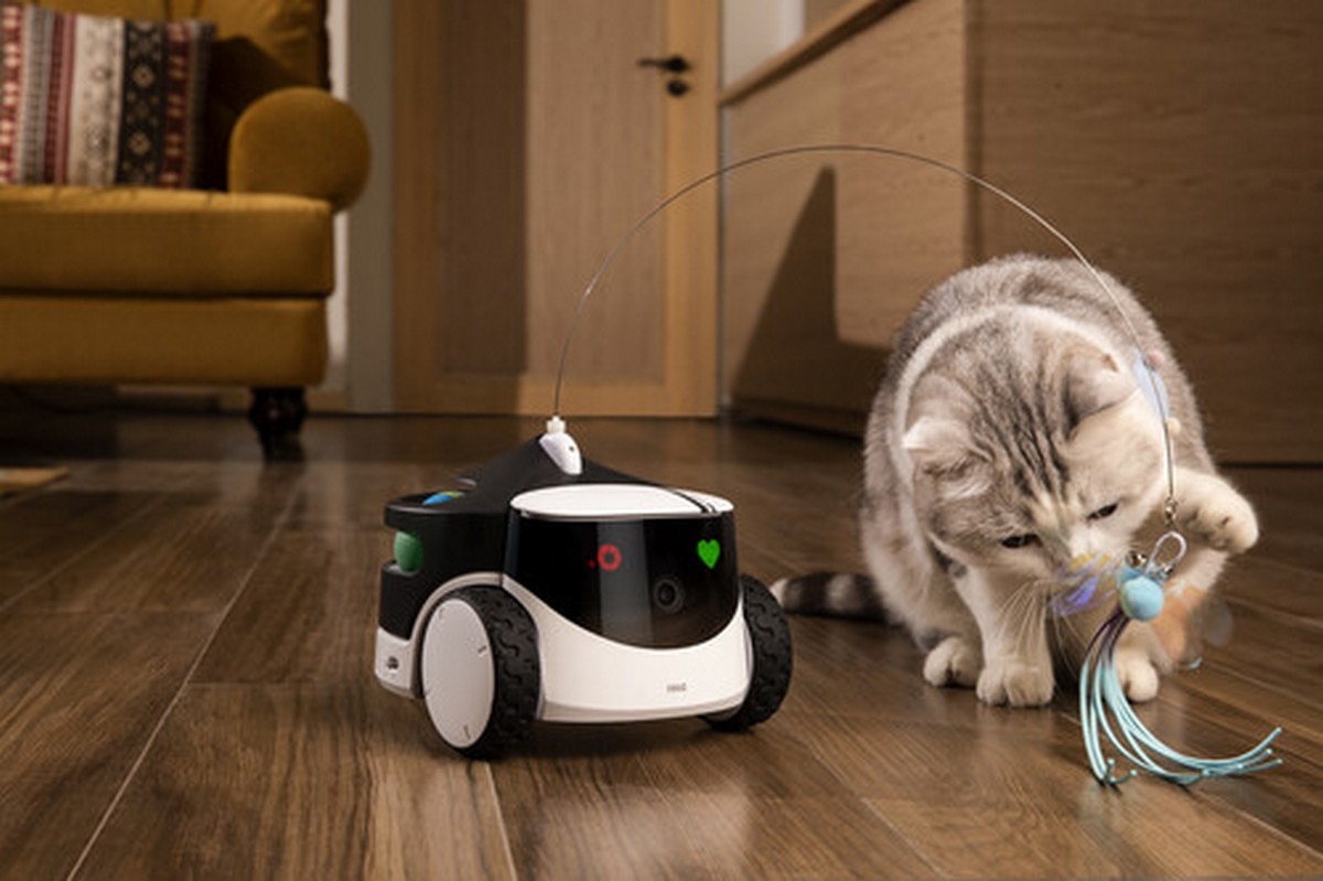 Robot de Companhia Enabot Rola Petpal 32GB - Branco 6