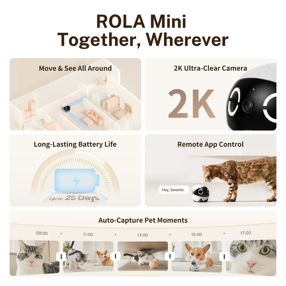 Robot de Companhia Enabot Rola Mini 2