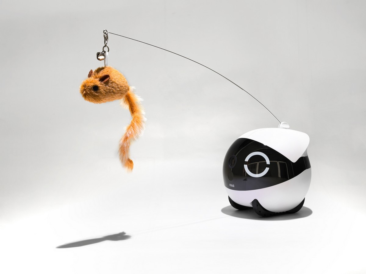 Enabot Rola Cat Teaser 2