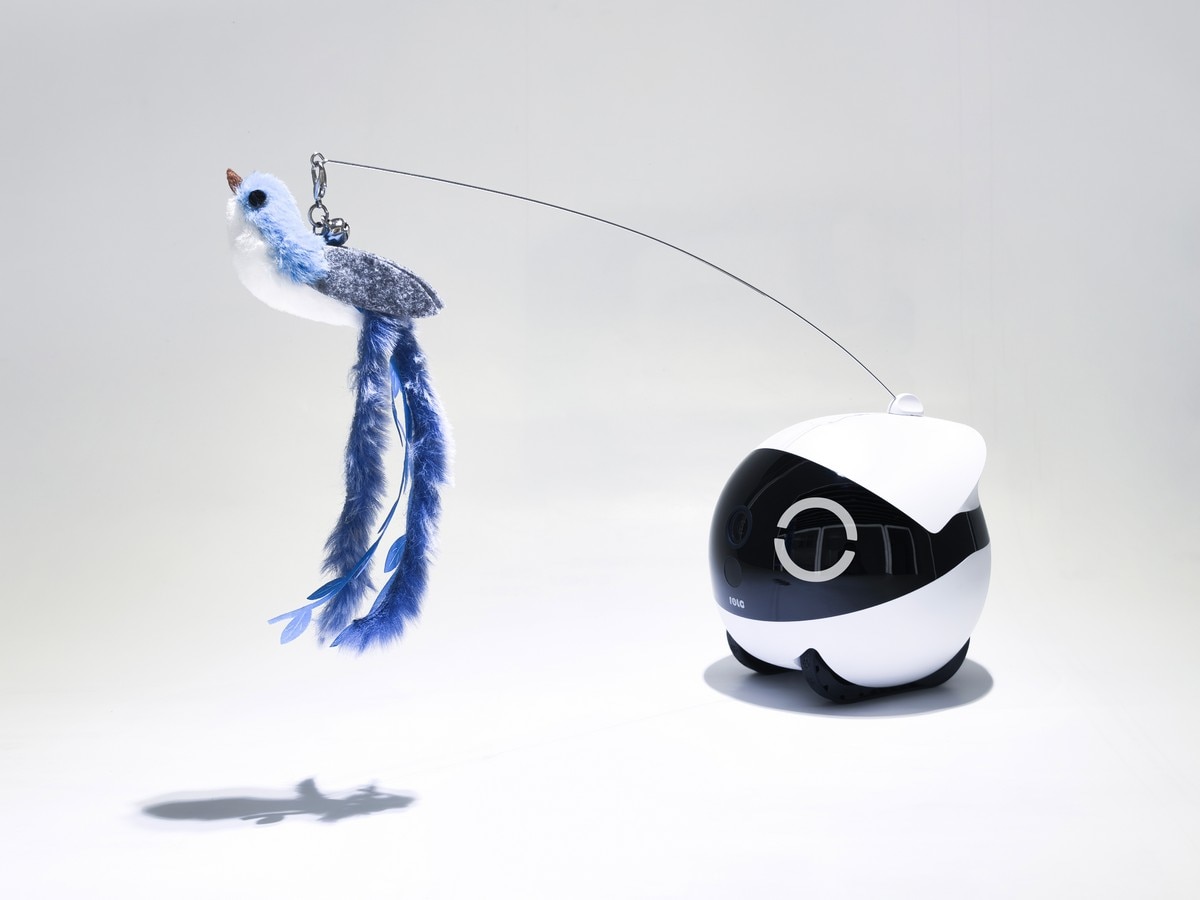Enabot Rola Cat Teaser 7