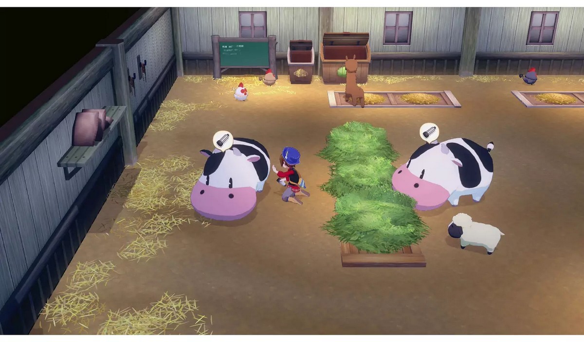 Story of Seasons: Grand Bazaar - Nintendo Switch 2 2