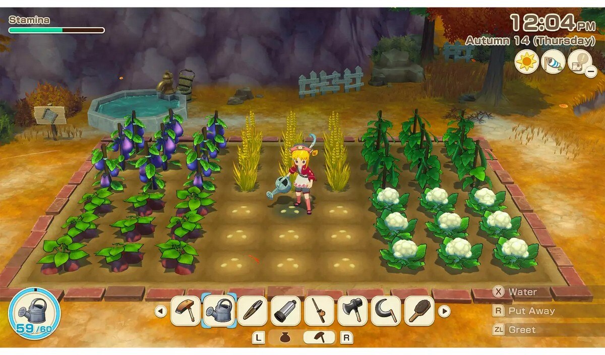 Story of Seasons: Grand Bazaar - Nintendo Switch 2 7