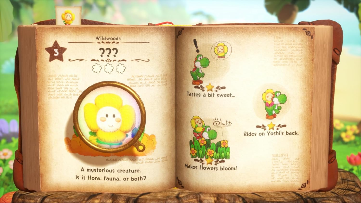 Yohshi and The Mysterious Book Nintendo Switch 2 7
