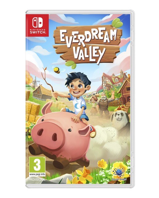 Everdream Valley - Nintendo Switch 1