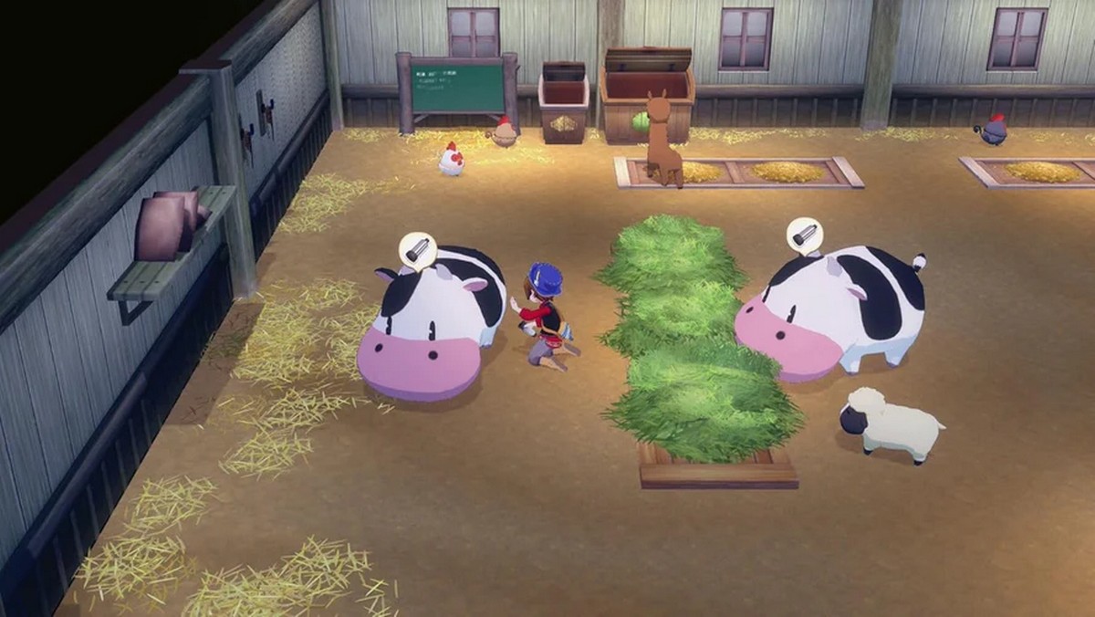 Story of Seasons: Grand Bazaar - Nintendo Switch 3