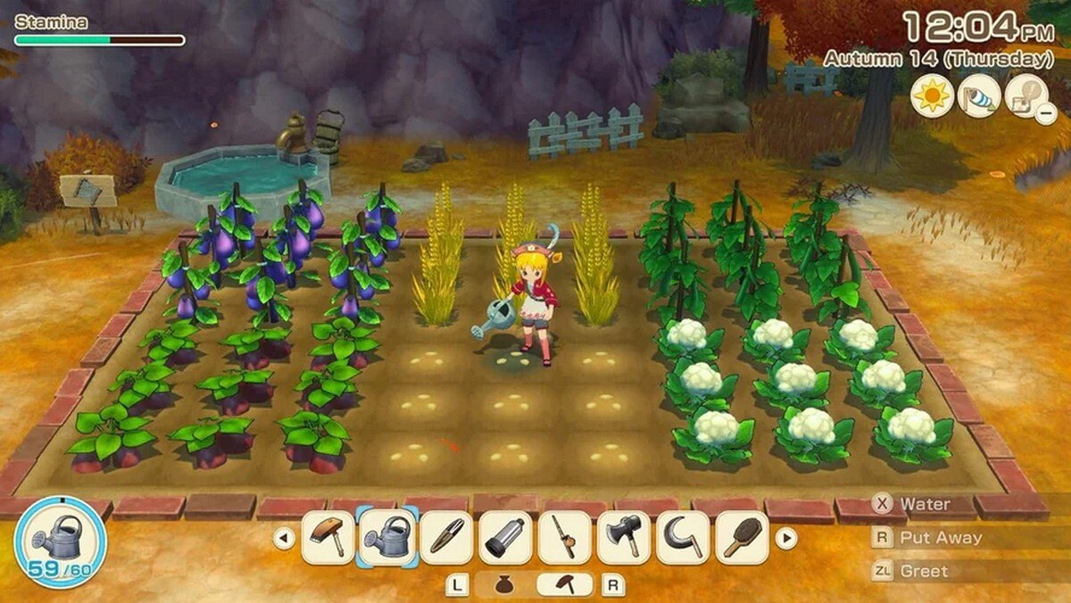 Story of Seasons: Grand Bazaar - Nintendo Switch 7