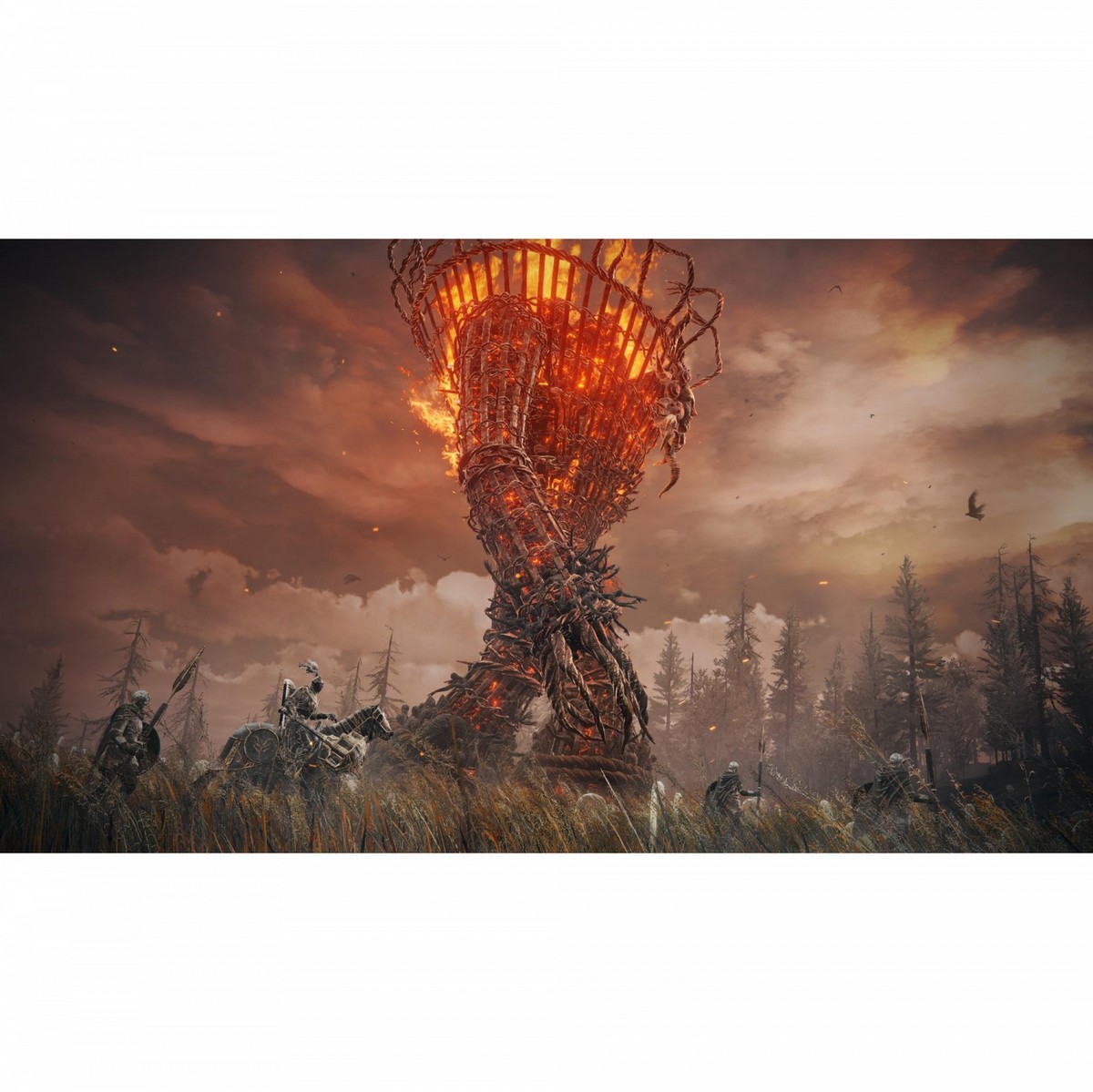Elden Ring: Shadow of the Erdtree Edition - Xbox Series X 4
