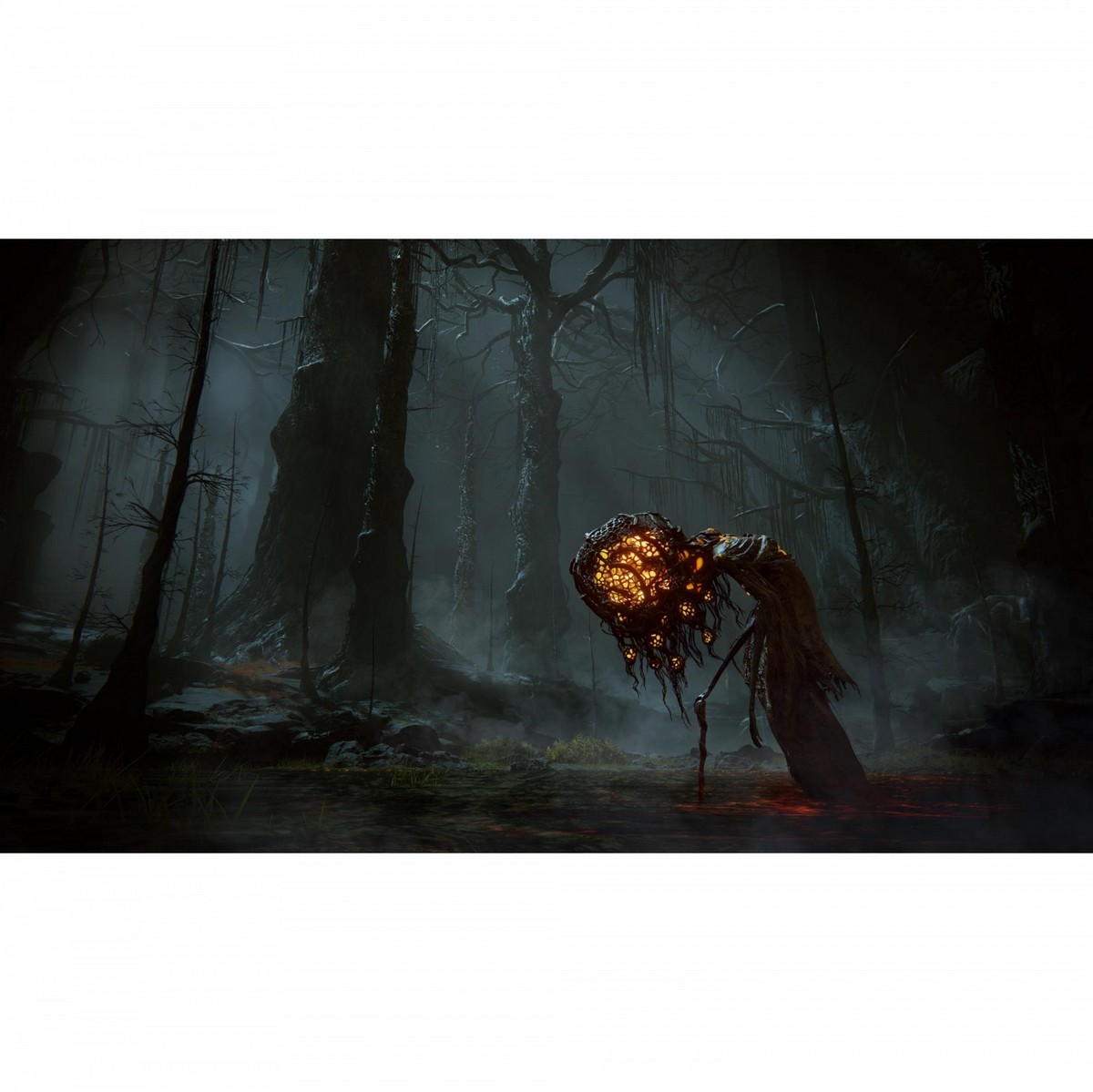 Elden Ring: Shadow of the Erdtree Edition - Xbox Series X 7