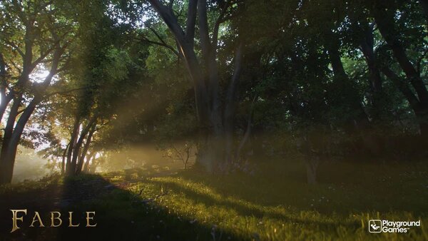 Fable (XBOX Series X) 6