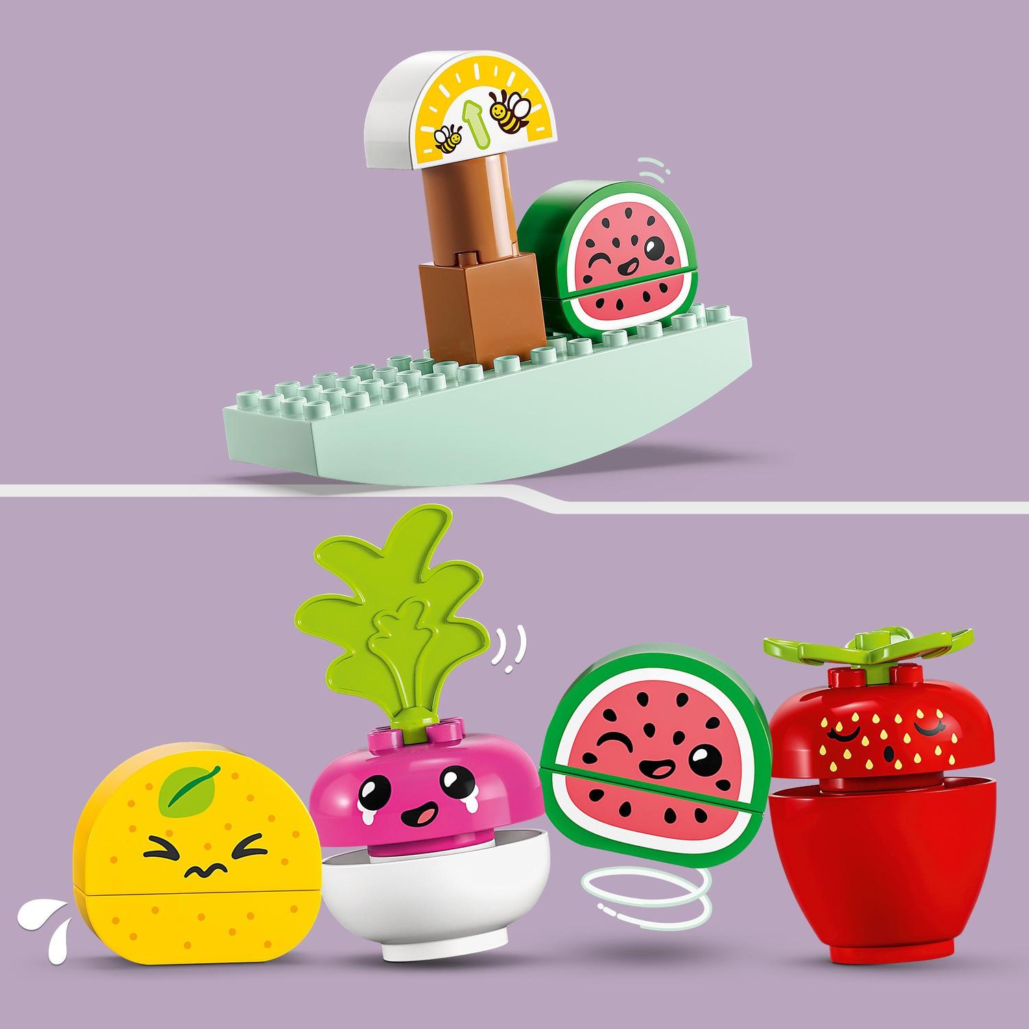 O Meu Primeiro Mercado de Produtos Biológico 4