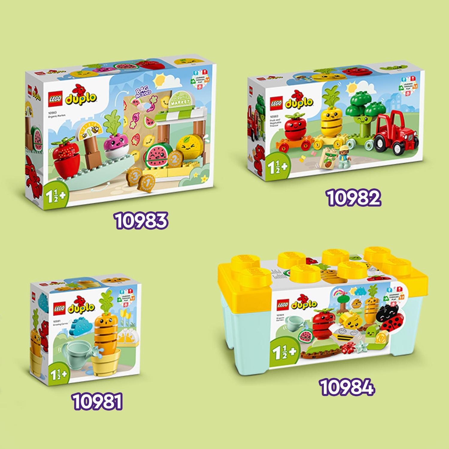 O Meu Primeiro Mercado de Produtos Biológico 6