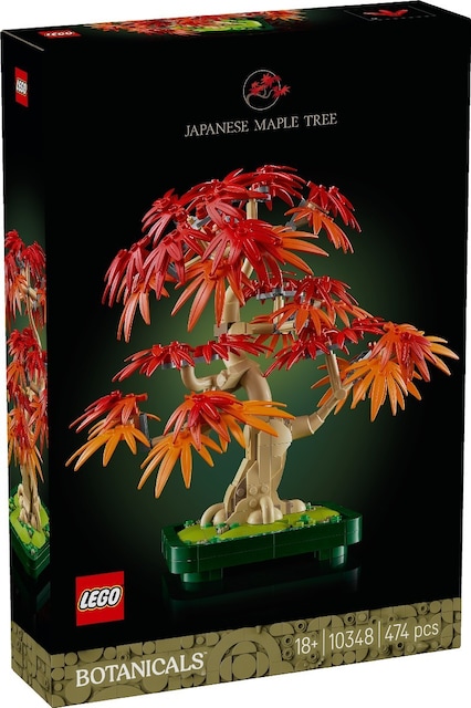 Imagem 0 de Bonsai de Bordo Vermelho Japonês