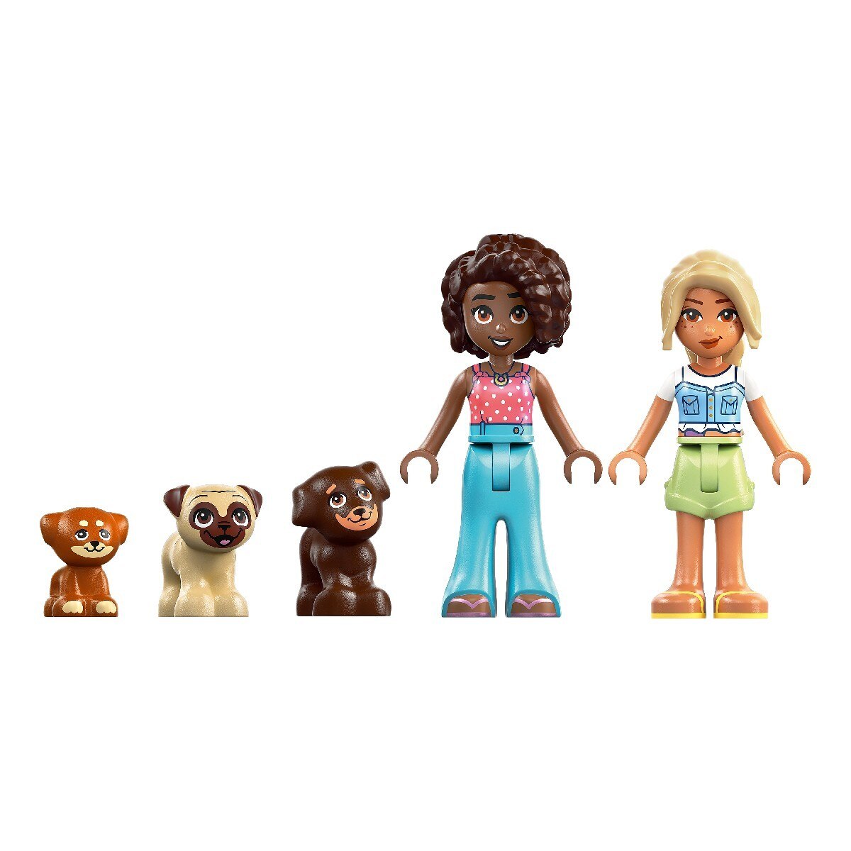 Parque para Cachorrinhos Lego Friends 5