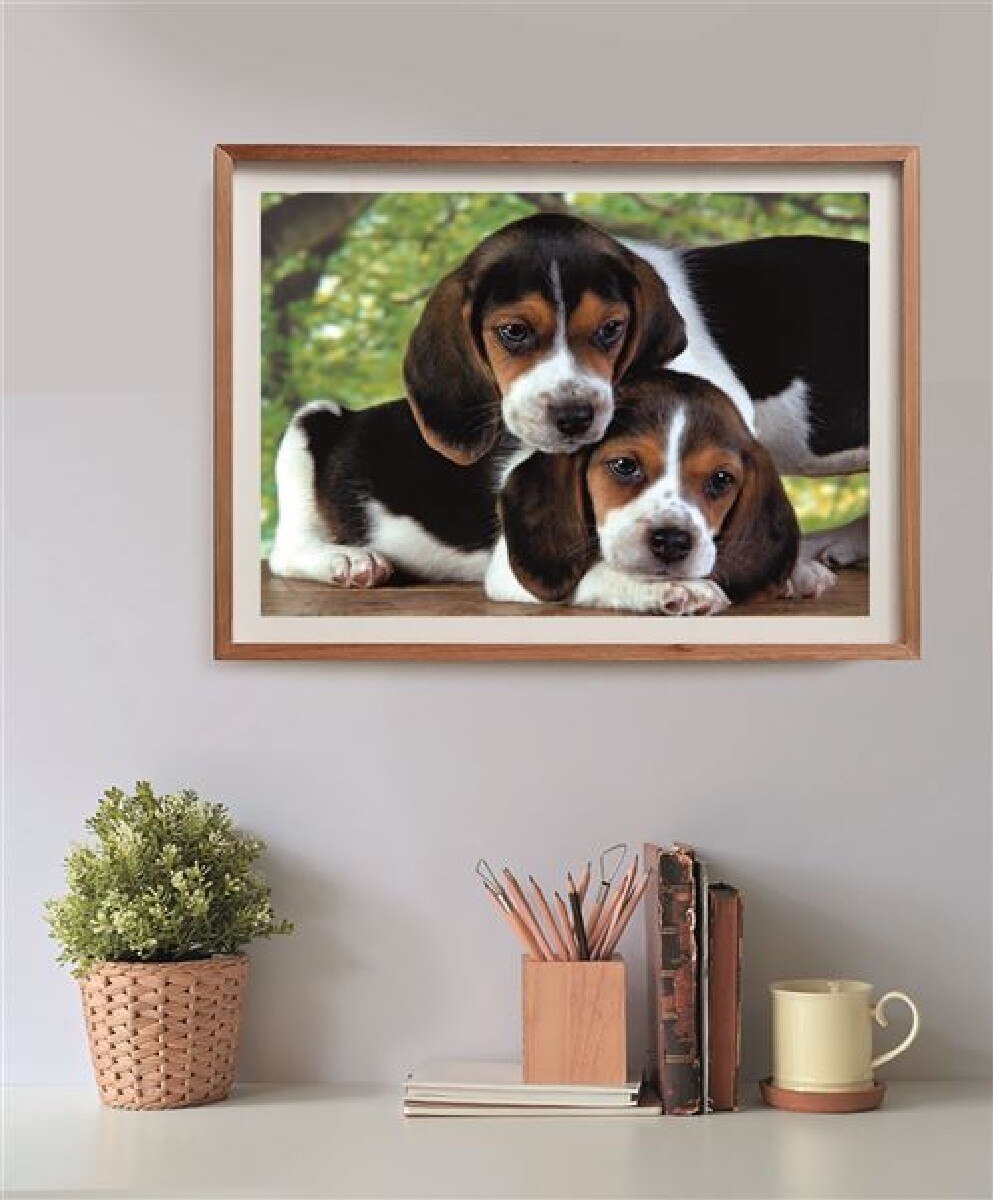 Puzzle High Quality Collection Compact: Close Together - 500 Peças 3