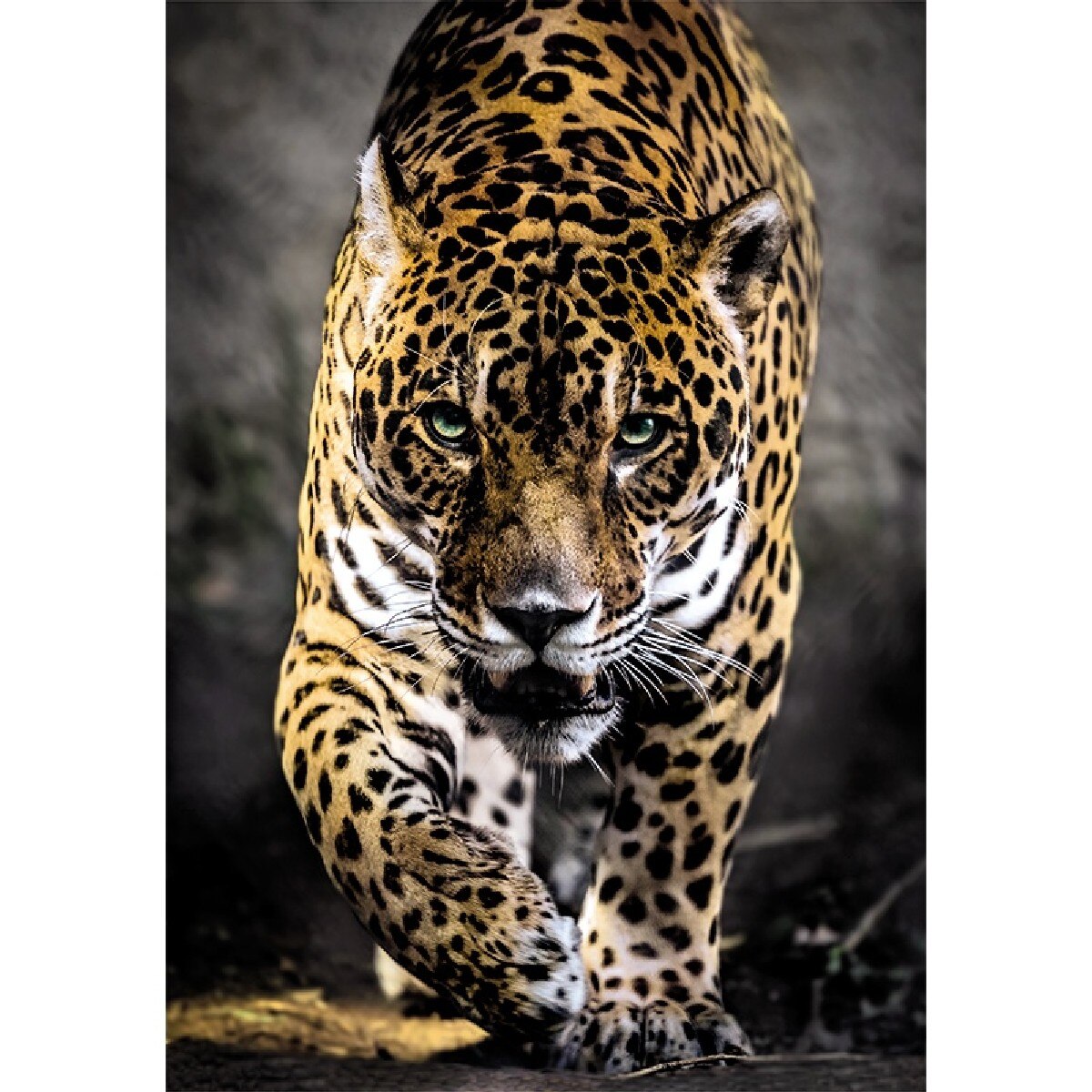 Puzzle High Quality Collection: Walk Of The Jaguar - 1000 Peças 2