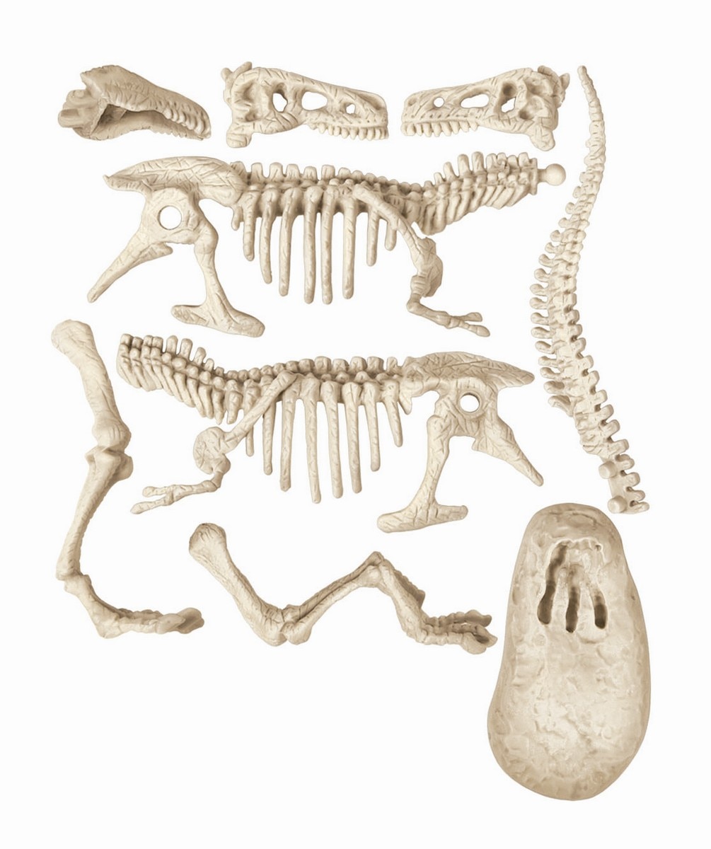 Tiranossauro Rex 4
