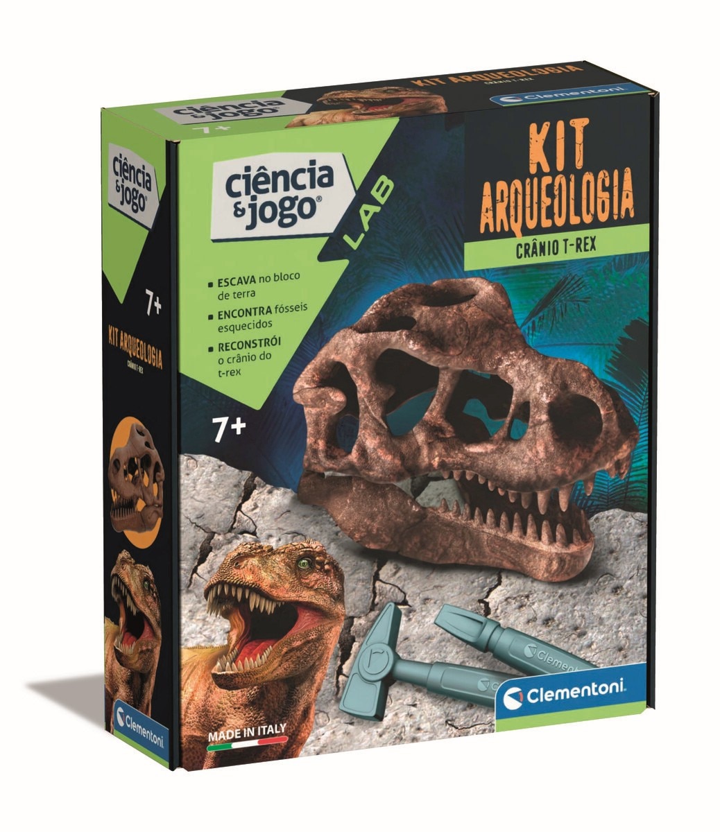 Kit Arqueologia - Crânio T-Rex 1