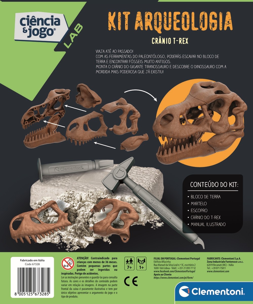 Kit Arqueologia - Crânio T-Rex 4