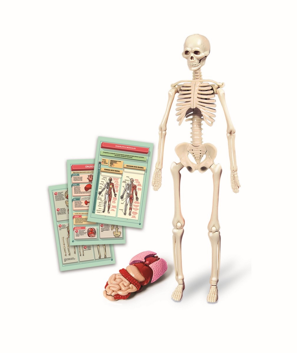 Kit Corpo Humano 3
