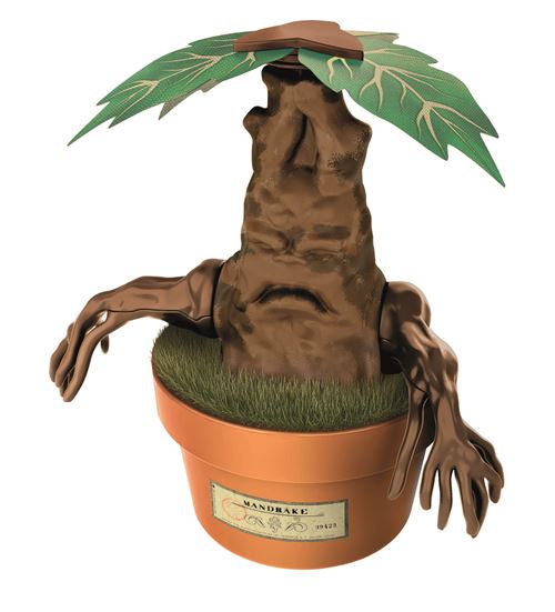 Imagem 0 de Kit Terrarium Harry Potter: Mandrágora