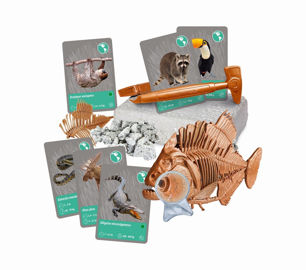 Animais do Planeta Terra 6