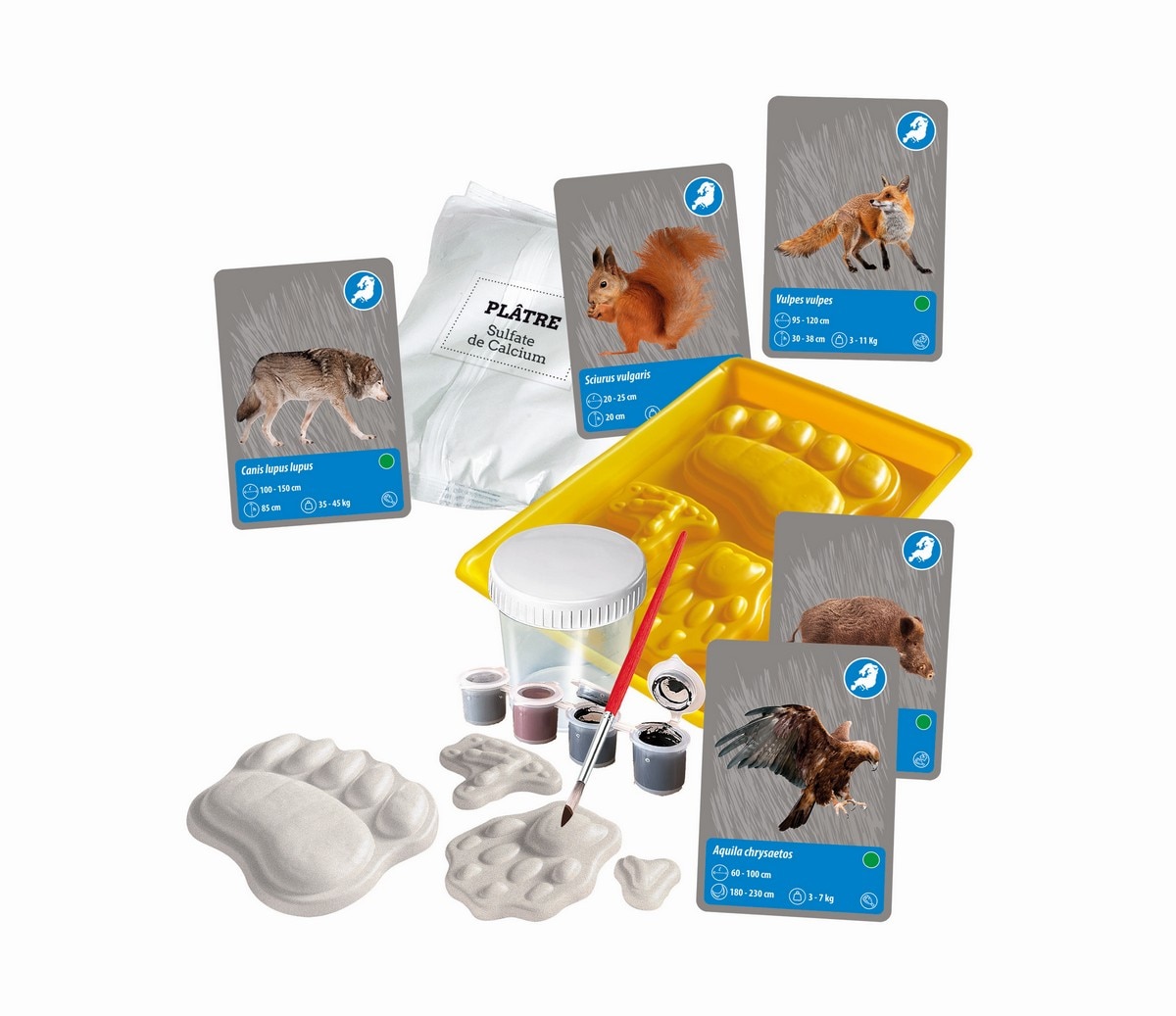Animais do Planeta Terra 7