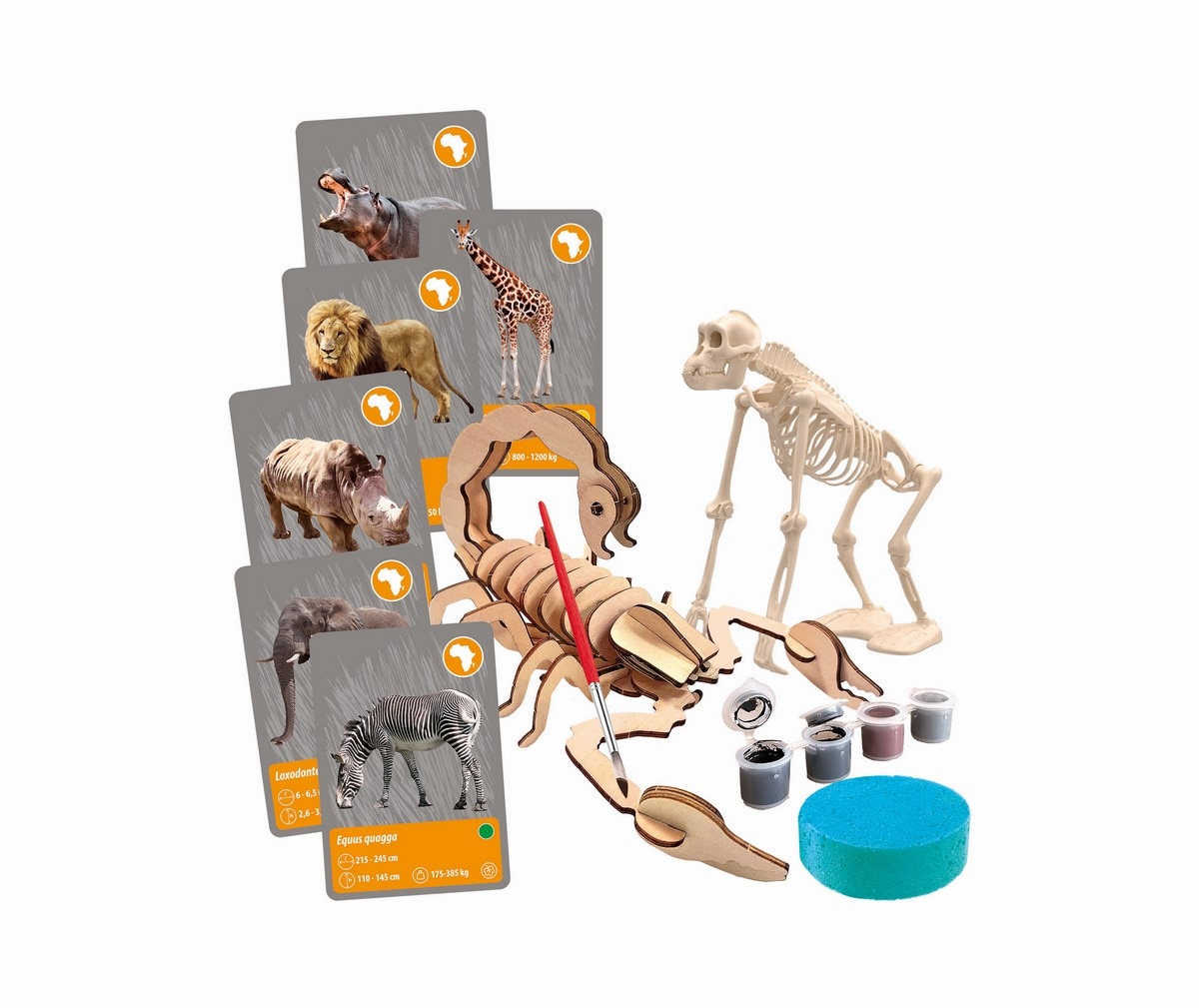 Animais do Planeta Terra 8